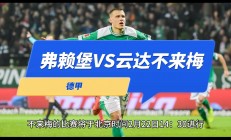 爱游戏体育app-弗莱堡欲击败汉堡，争取德甲联赛晋级