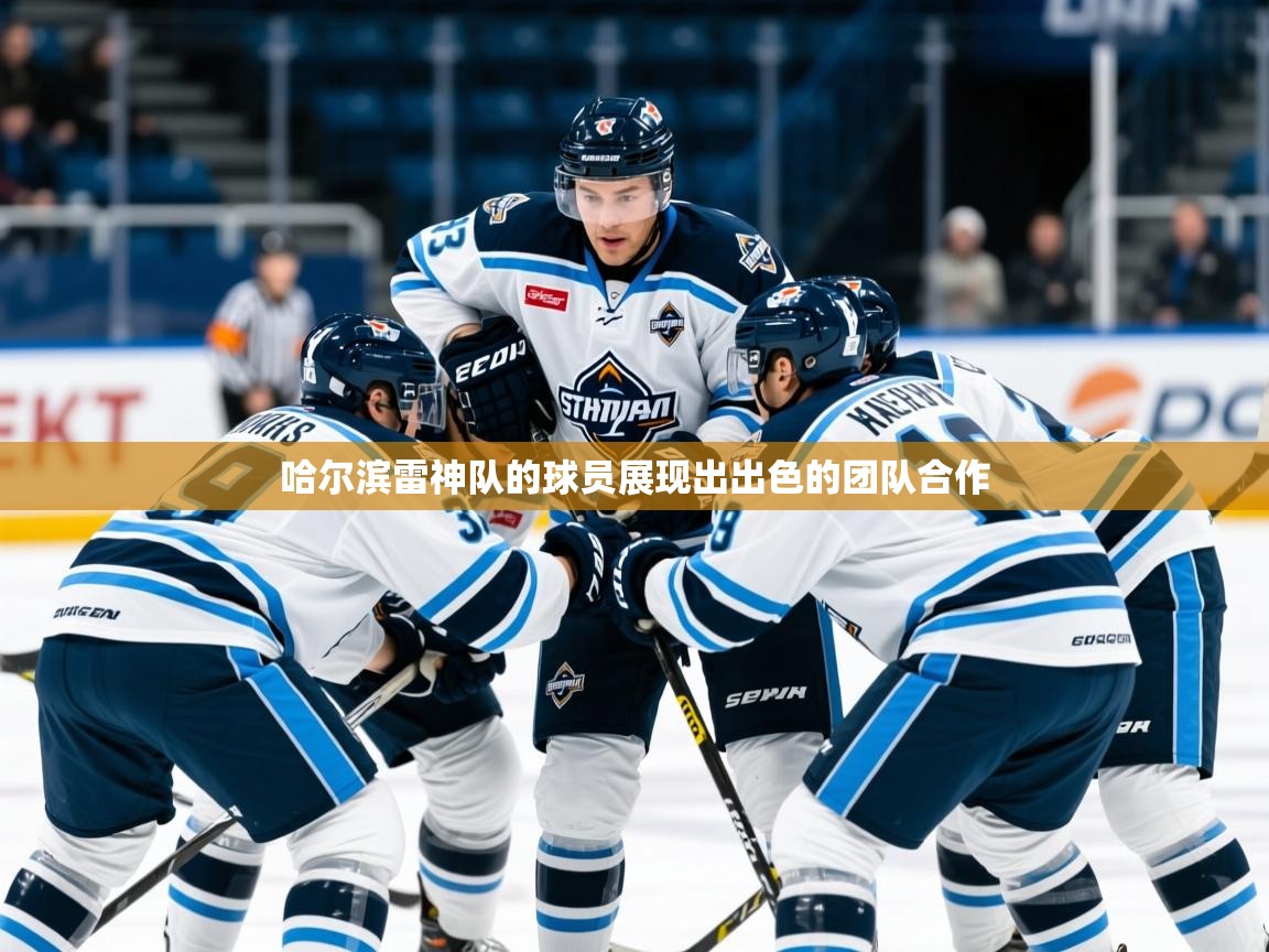2025爱游戏官方网站入口登录指南哈尔滨雷神队的球员展现出出色的团队合作  第3张