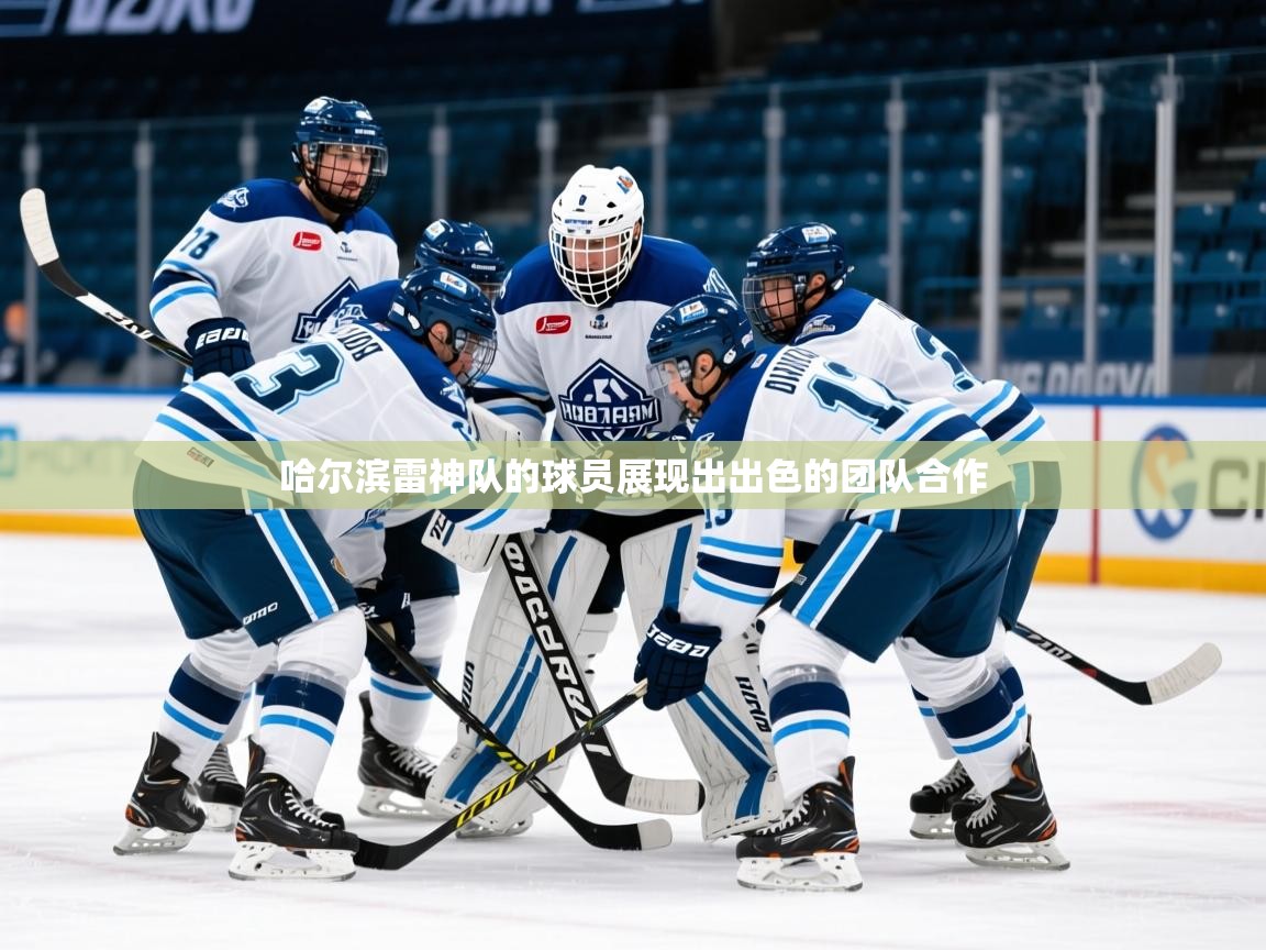 2025爱游戏官方网站入口登录指南哈尔滨雷神队的球员展现出出色的团队合作  第4张