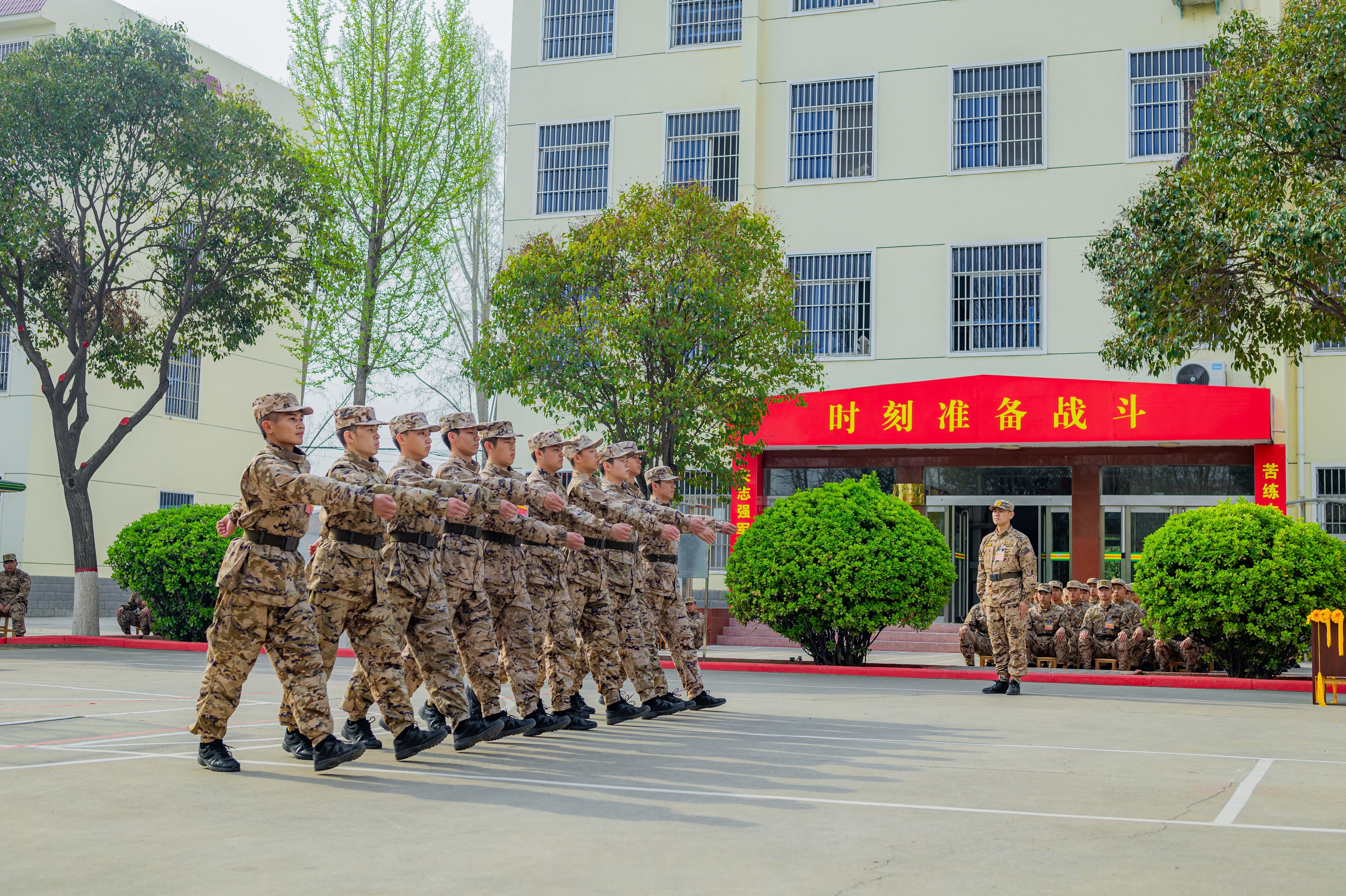 河南队全队集中备战，团结拼搏的简单介绍